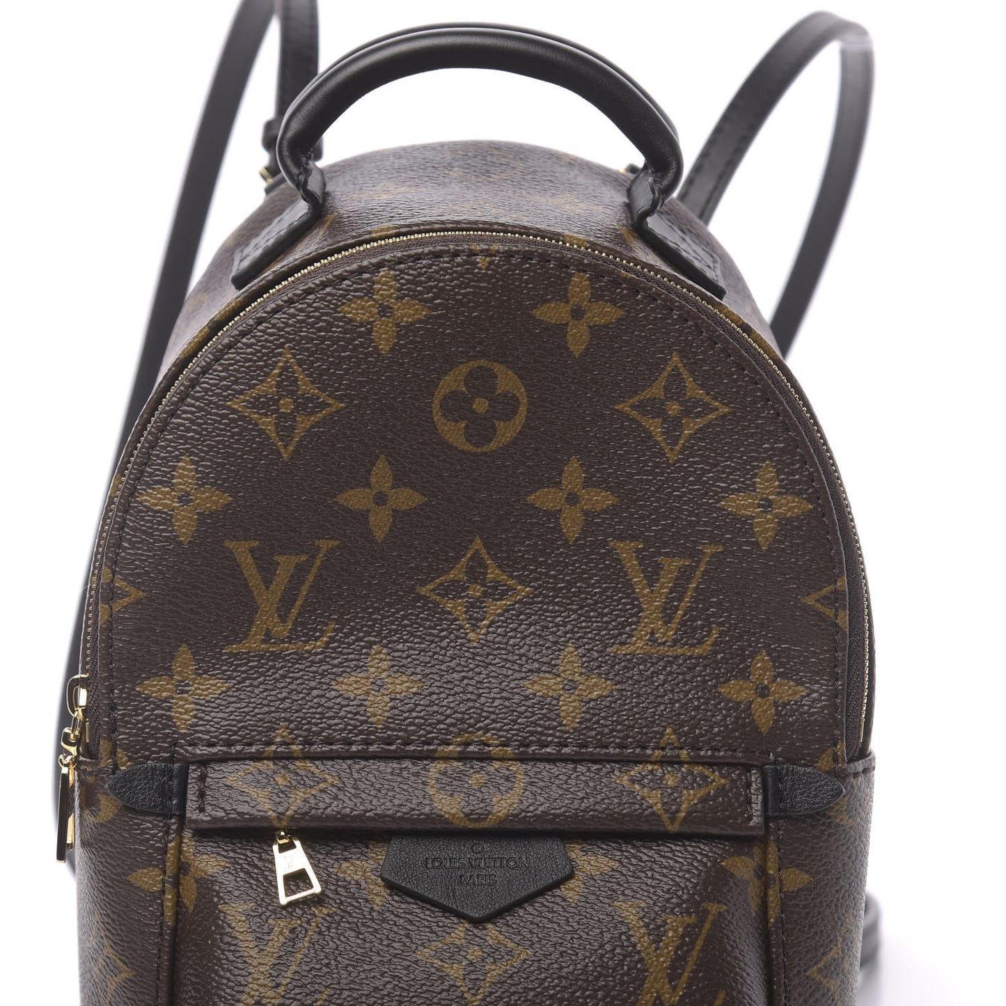 Monogram Palm Springs Backpack Mini