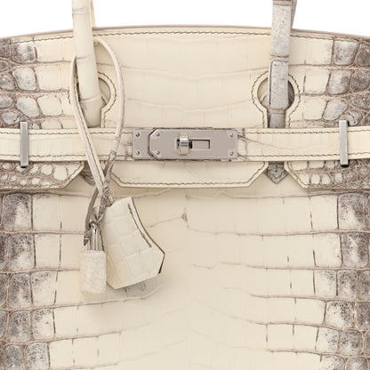 Hermes Matte Niloticus Crocodile Himalaya Birkin 30 Blanc 8 of 12