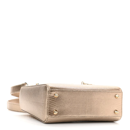 Christian Dior Metallic Lizard Small Lady Dior Gold 4 of 9
