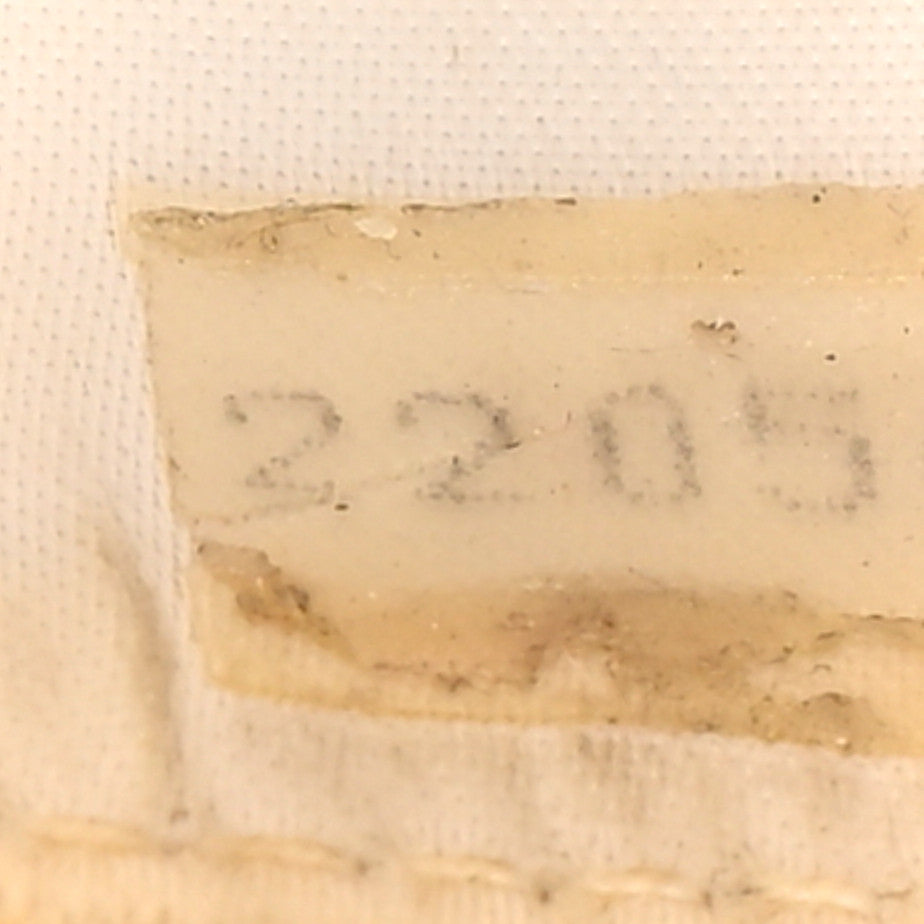 Chanel Lizard Quilted Small Tassel Camera Case White 7 of 11