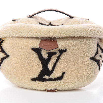Louis Vuitton Monogram Teddy Bumbag 6 of 8