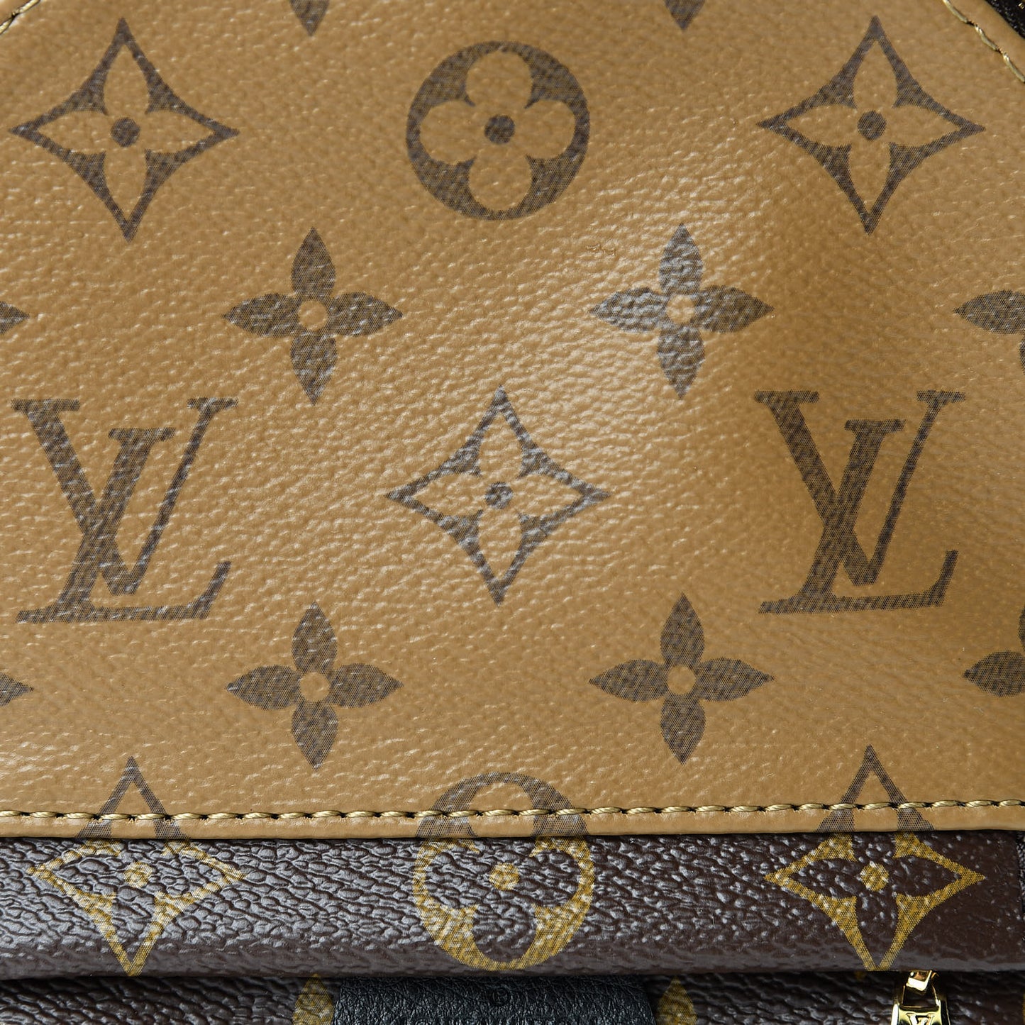 Reverse Monogram Palm Springs Backpack Mini