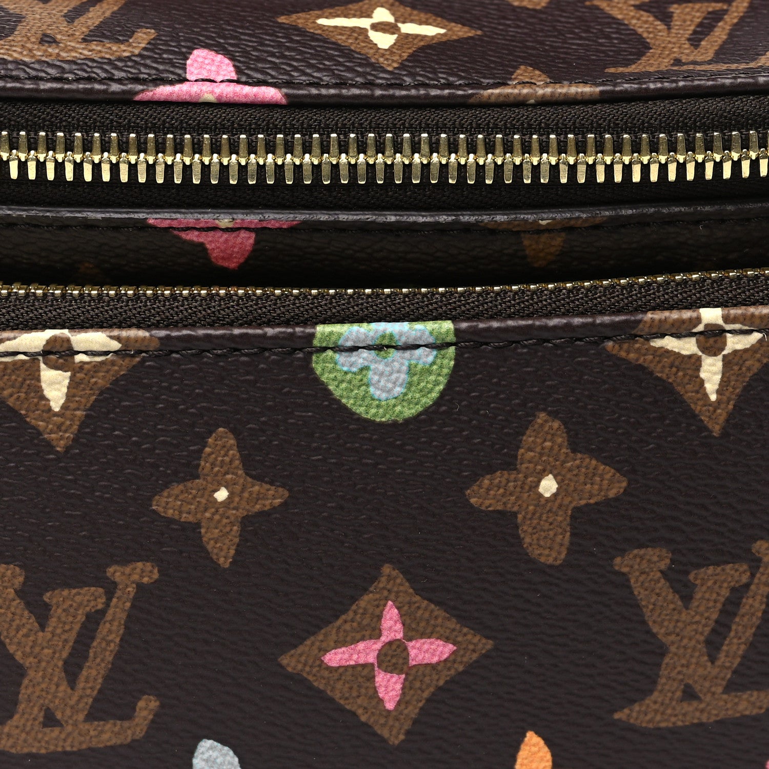 Louis Vuitton X TYLER THE CREATOR Monogram Craggy Rush Bumbag 7 of 9