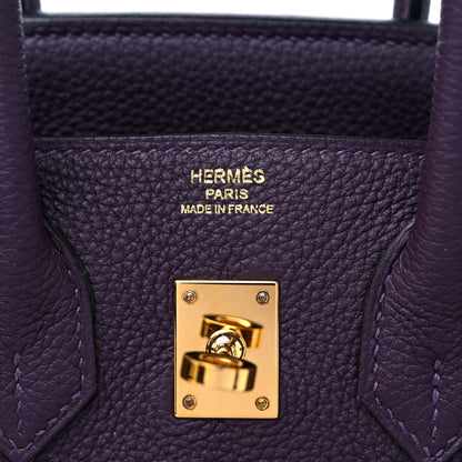 Hermes Togo Birkin 25 Raisin 6 of 10