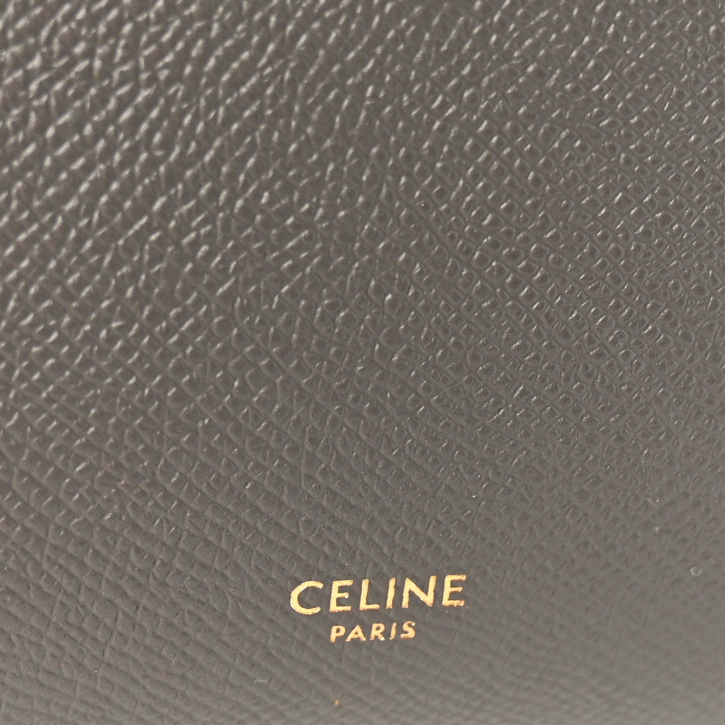 Grained Calfskin Nano Belt Bag Grey