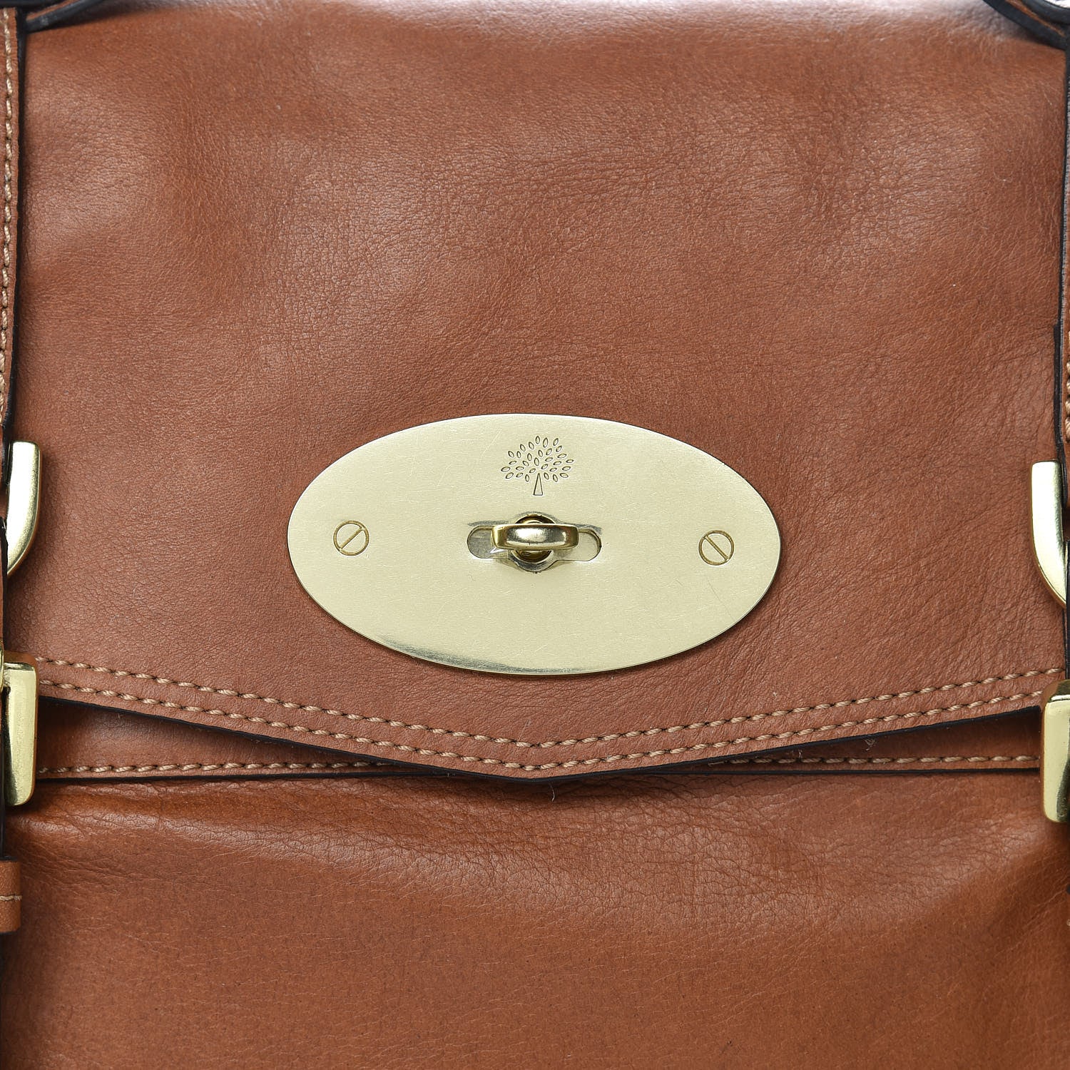 Mulberry Soft Buffalo Medium Alexa Oak 11 of 11