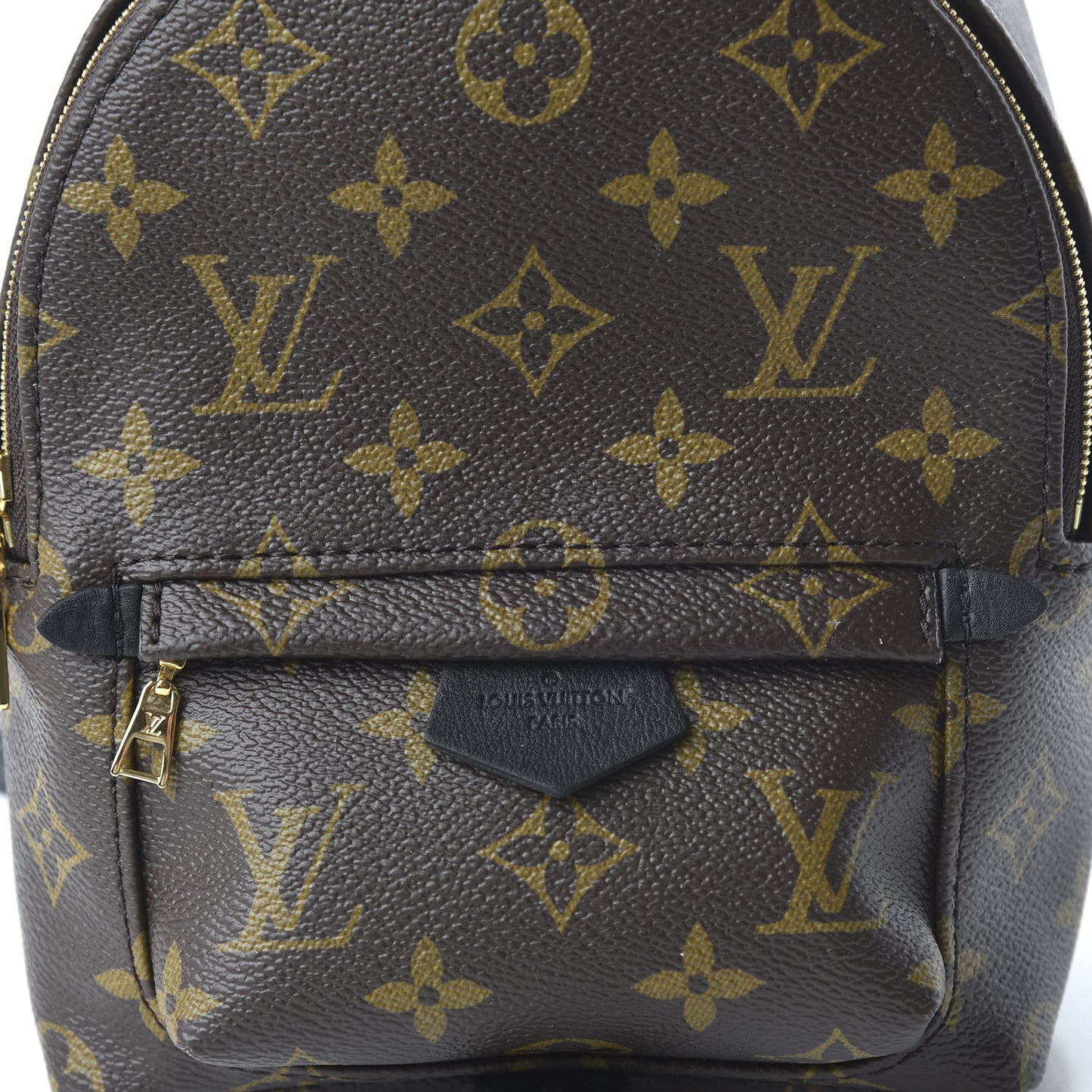 Monogram Palm Springs Backpack Mini