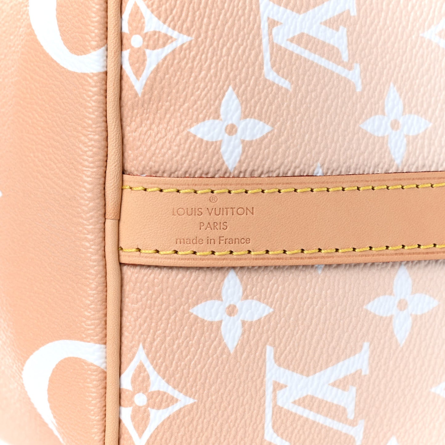 Monogram Giant By The Pool Speedy Bandouliere 25 Brume