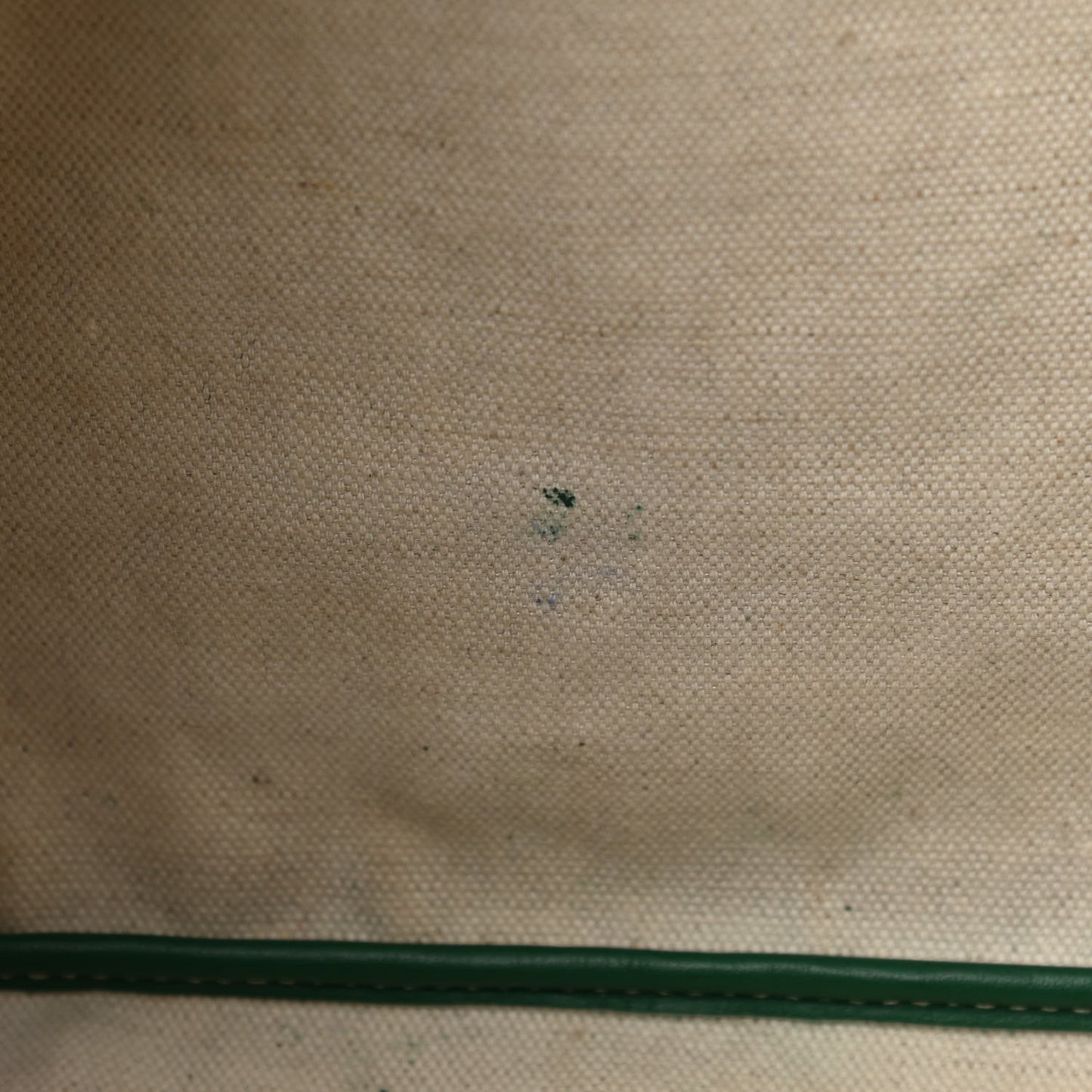 Goyardine Saint Louis PM Green