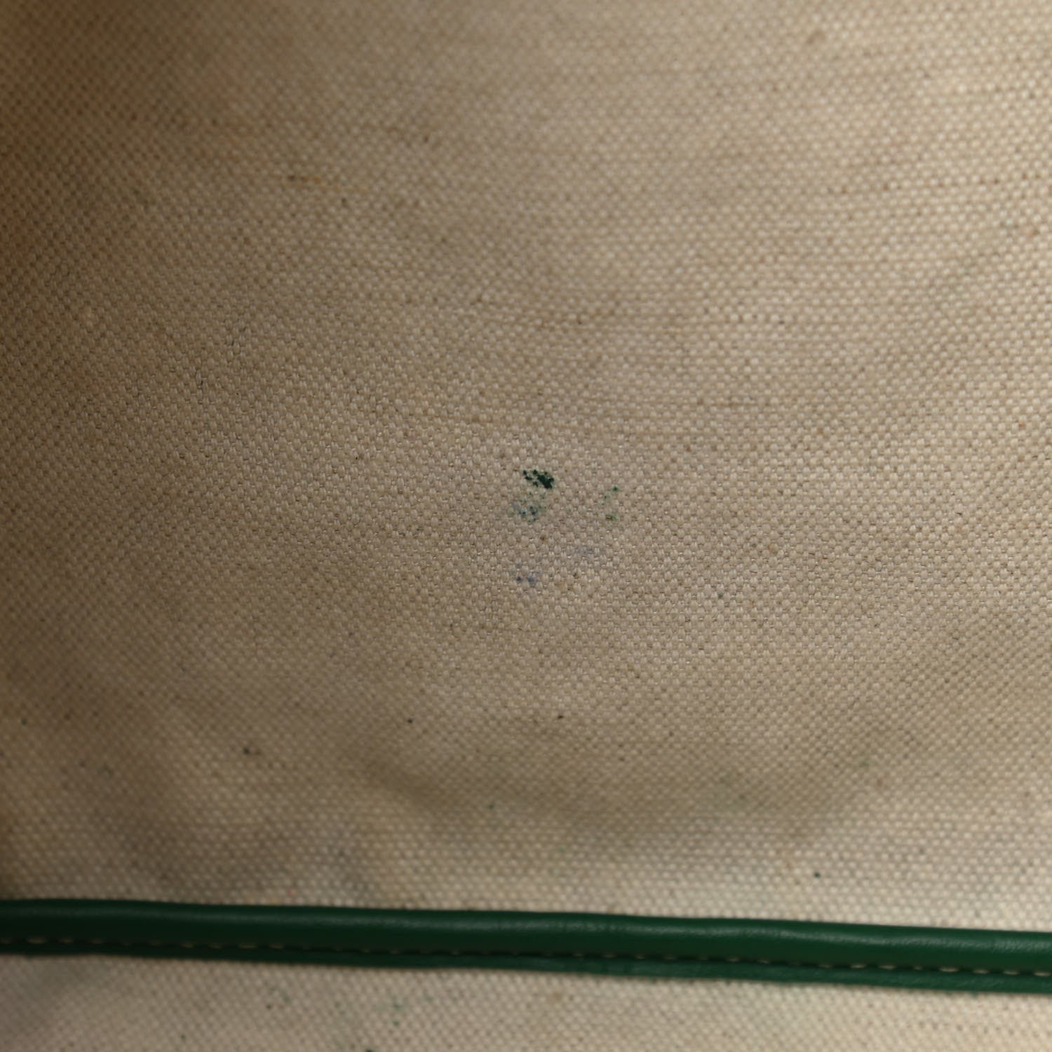 Goyard Goyardine Saint Louis PM Green 16 of 18