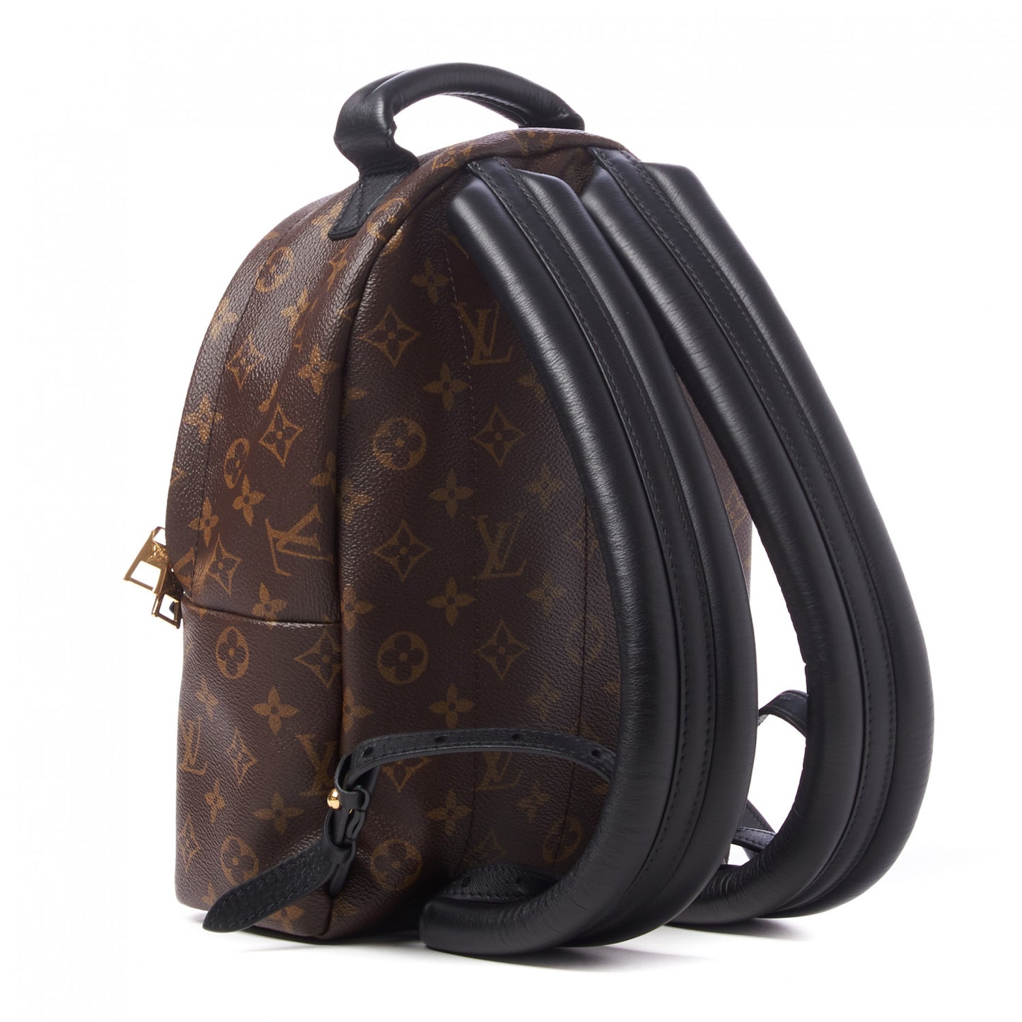 Reverse Monogram Palm Springs Backpack PM