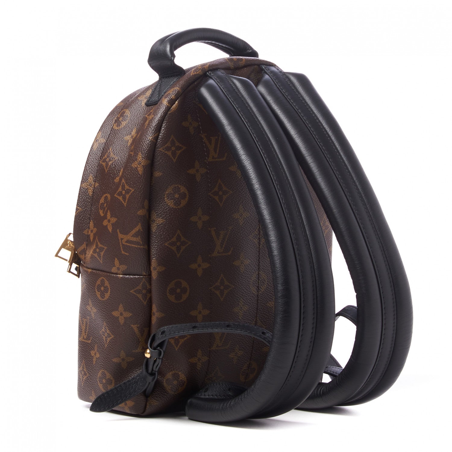 Louis Vuitton Reverse Monogram Palm Springs Backpack PM 3 of 9