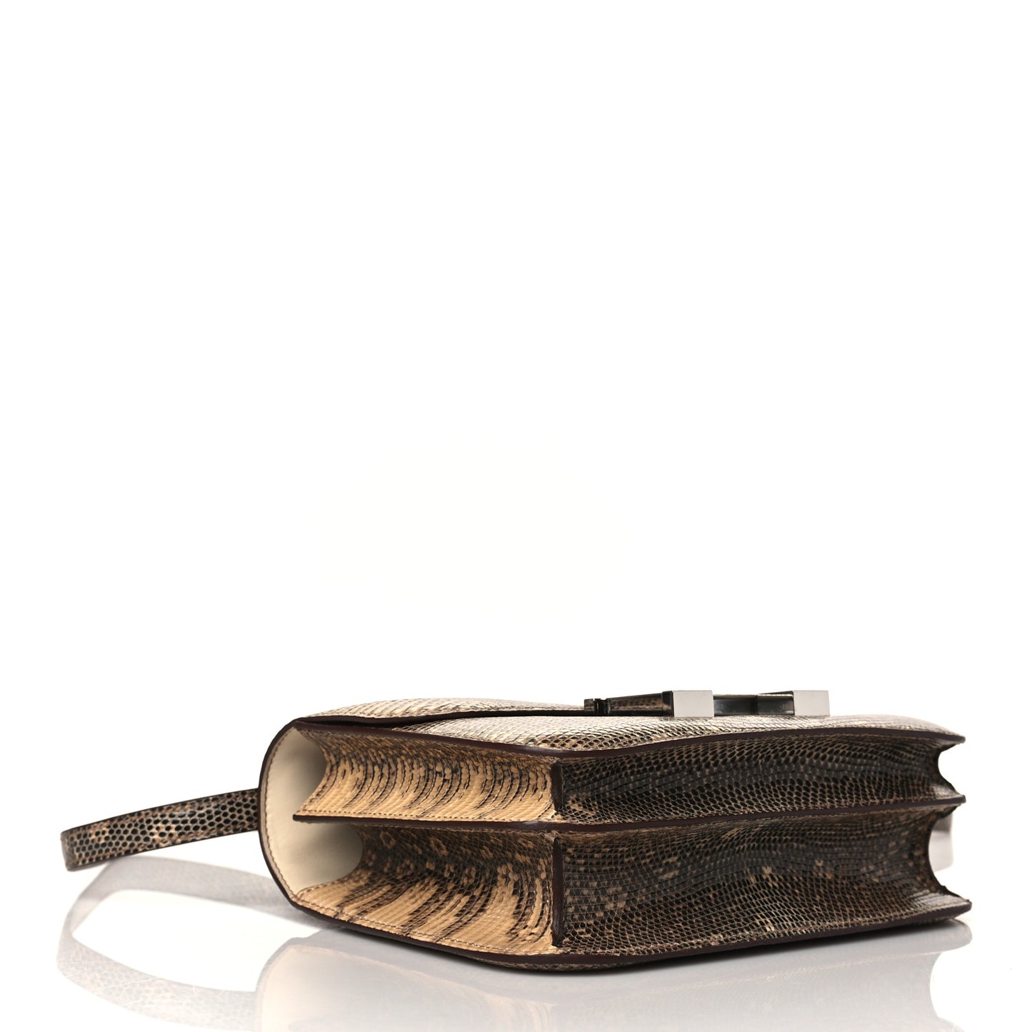 Lizard Constance 18 Ombre