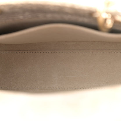 Christian Dior Metallic Snakeskin Small Lady Dior Gold 5 of 11