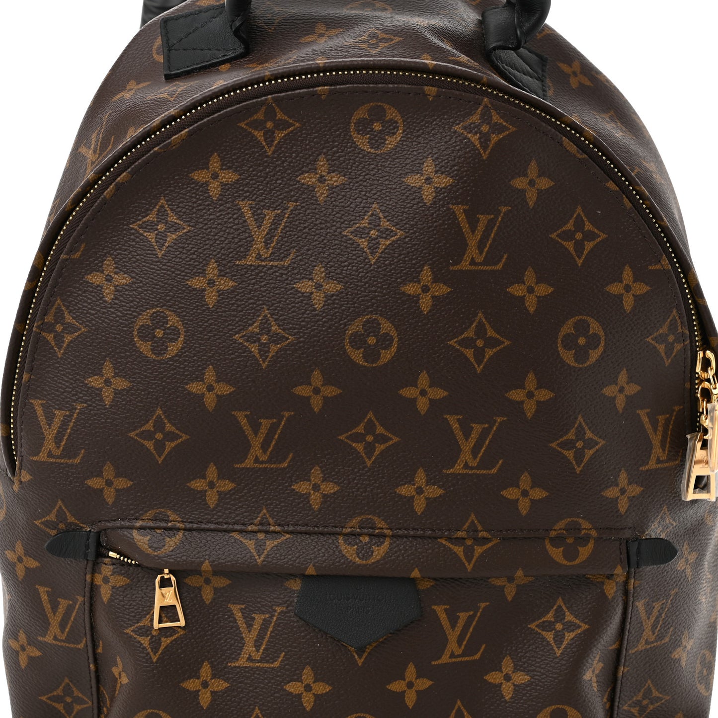 Monogram Palm Springs Backpack MM