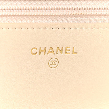 Chanel Goatskin Quilted Chanel 19 Wallet On Chain WOC Light Beige 6 of 17