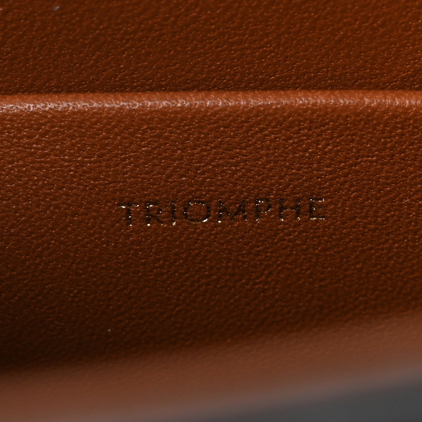 Canvas Calfskin Triomphe Box Top Handle Bag Tan