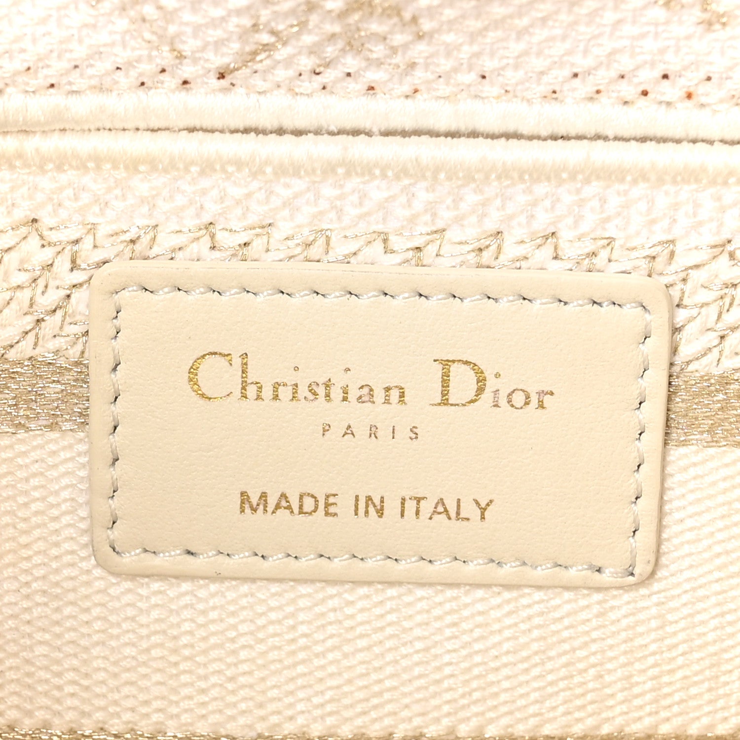 Christian Dior Canvas Embroidered Medium Jardin D'Hiver Lady D-Joy