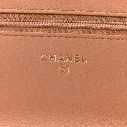 Chanel Lambskin Quilted Chanel 19 Wallet On Chain WOC Brown 5 of 11