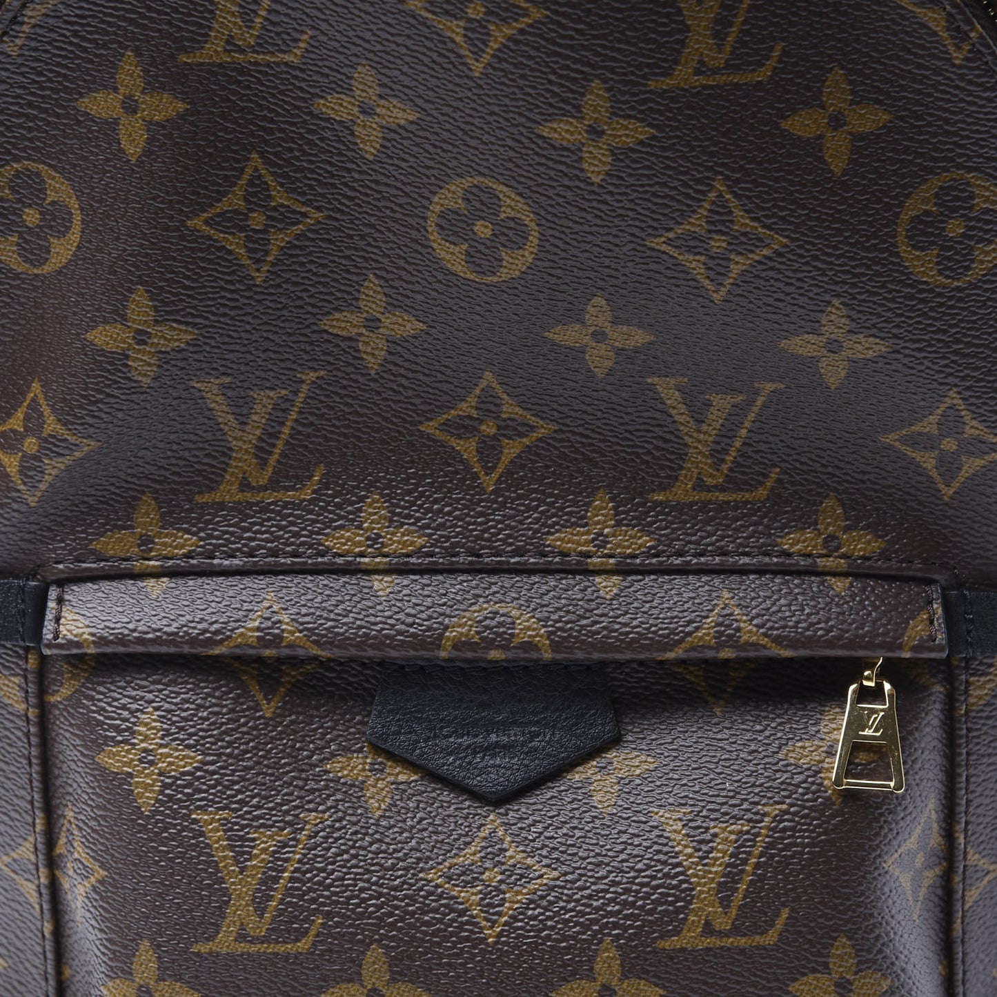 Monogram Palm Springs Backpack PM