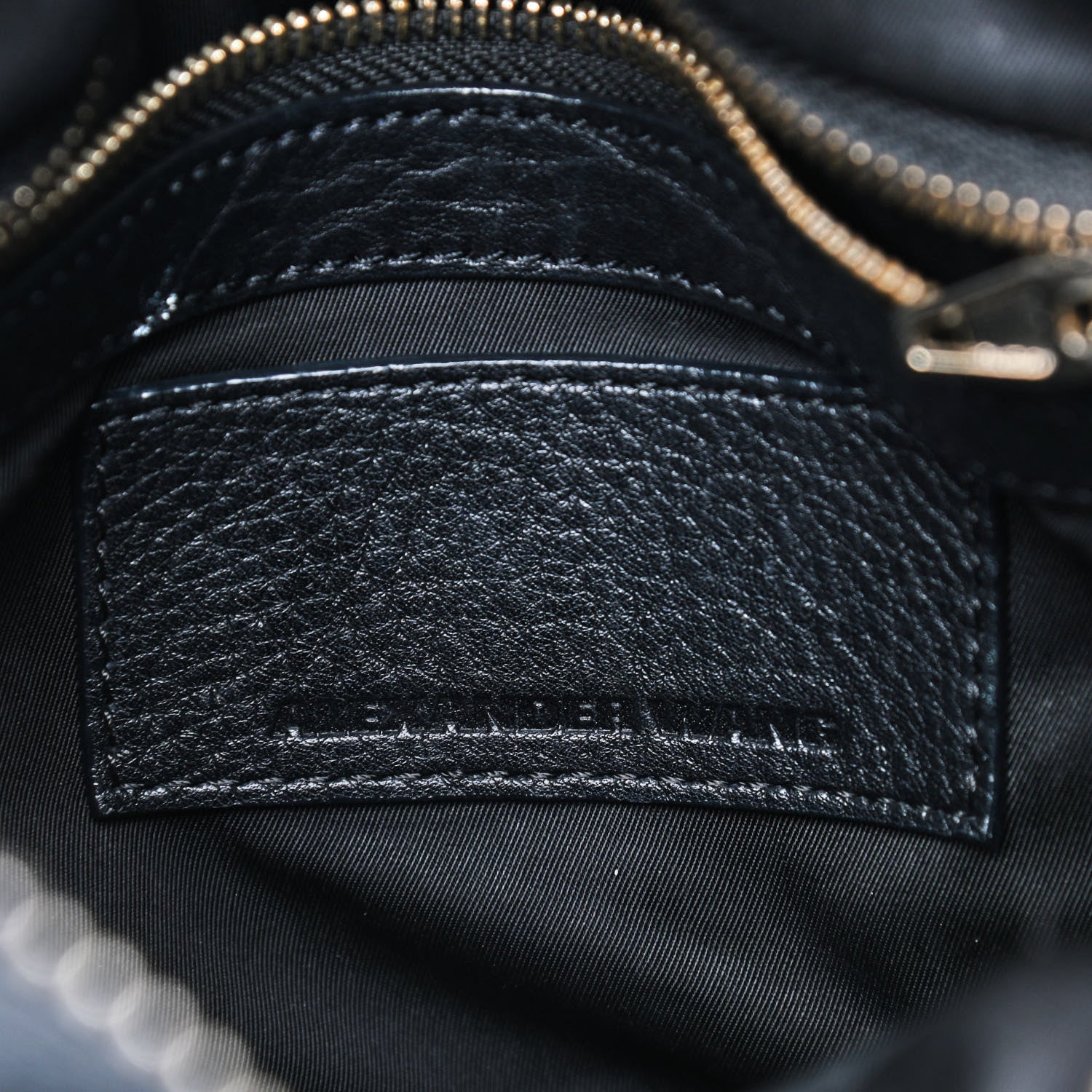 Alexander Wang Pebbled Lambskin Rockie Black Pale Gold Hardware 8 of 10