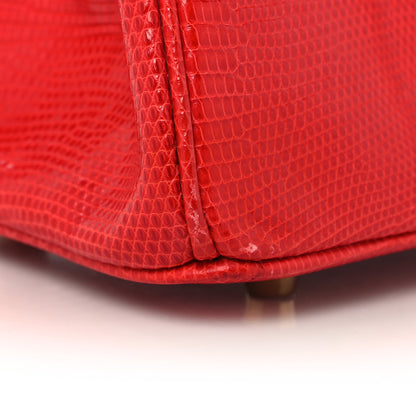 Hermes Lizard Birkin 25 Rouge Moyen 14 of 16
