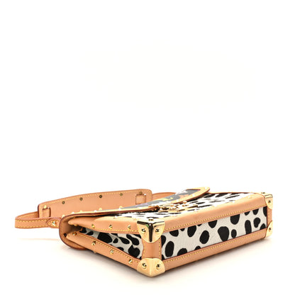 Louis Vuitton Monogram Multicolor Dalmatian Pochette 4 of 8