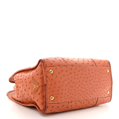Prada Ostrich  Tote Cognac 4 of 13