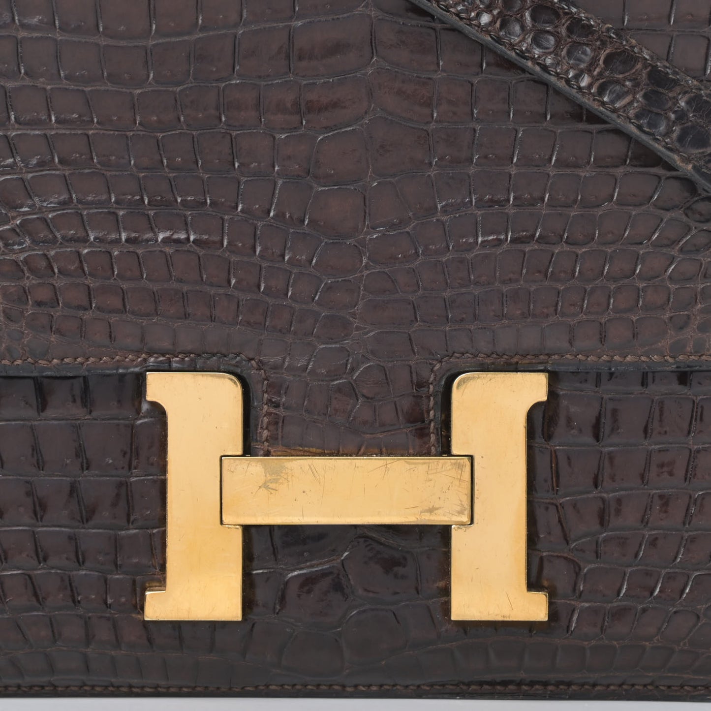 Shiny Porosus Crocodile Constance 23 Chocolate