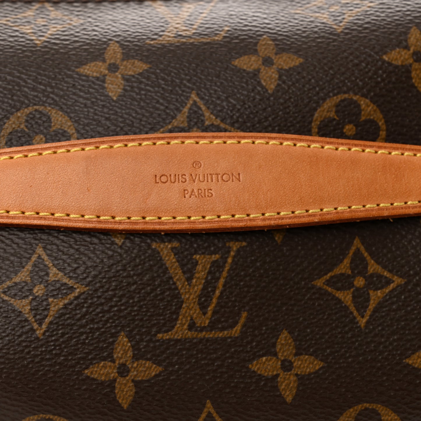 Monogram Bumbag
