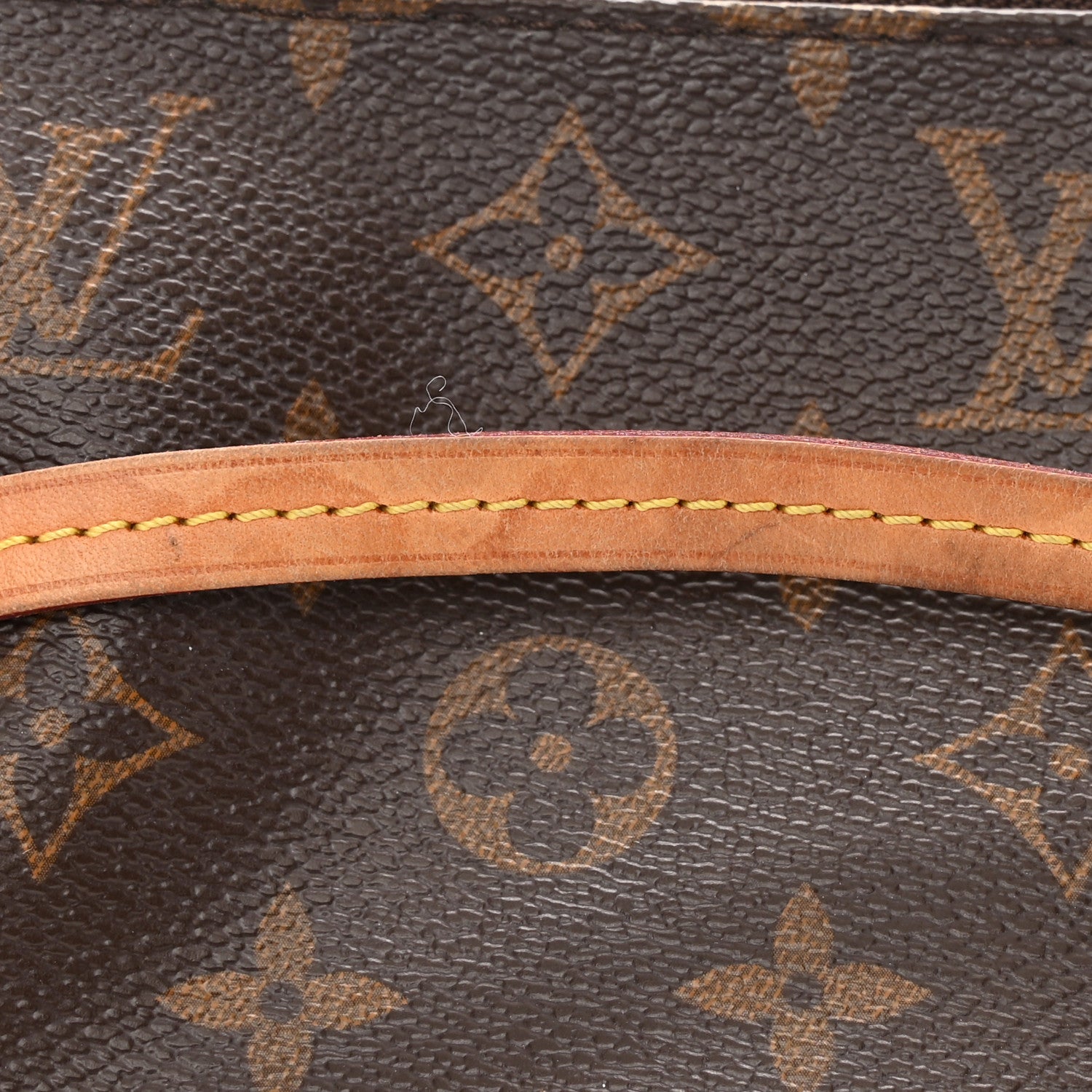 Louis Vuitton Monogram Pochette Accessories NM 12 of 13