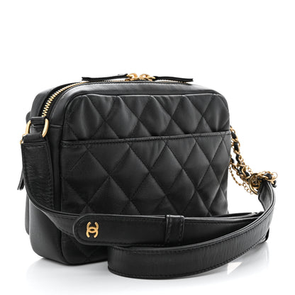 Chanel Calfskin Quilted Small Camera Case Black 3 of 14