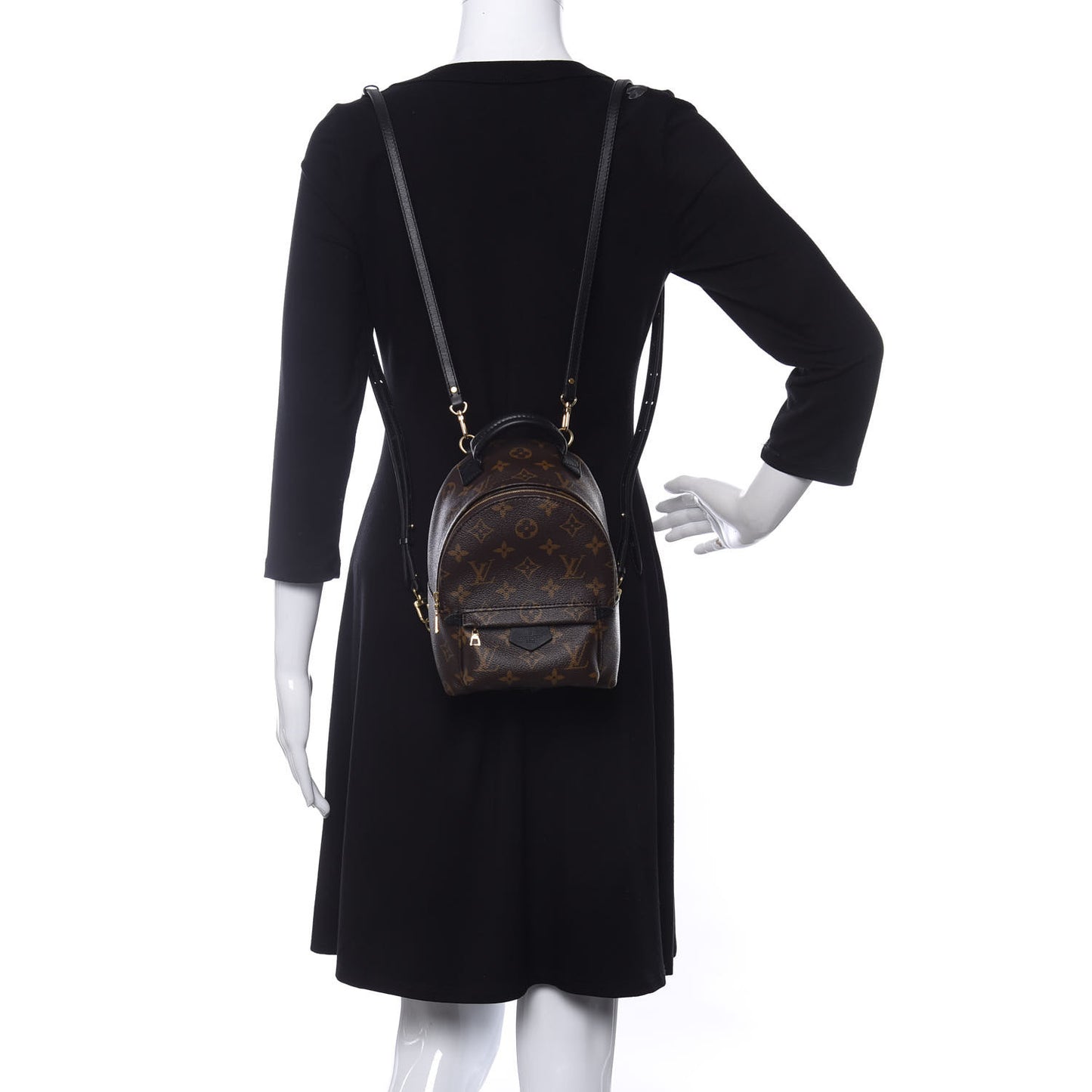 Monogram Palm Springs Backpack Mini