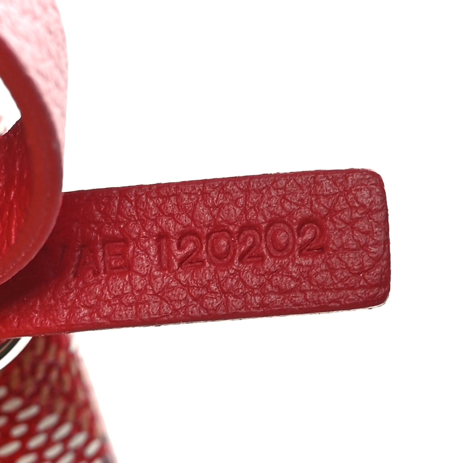 Goyard Goyardine Saint Louis PM Red 7 of 10