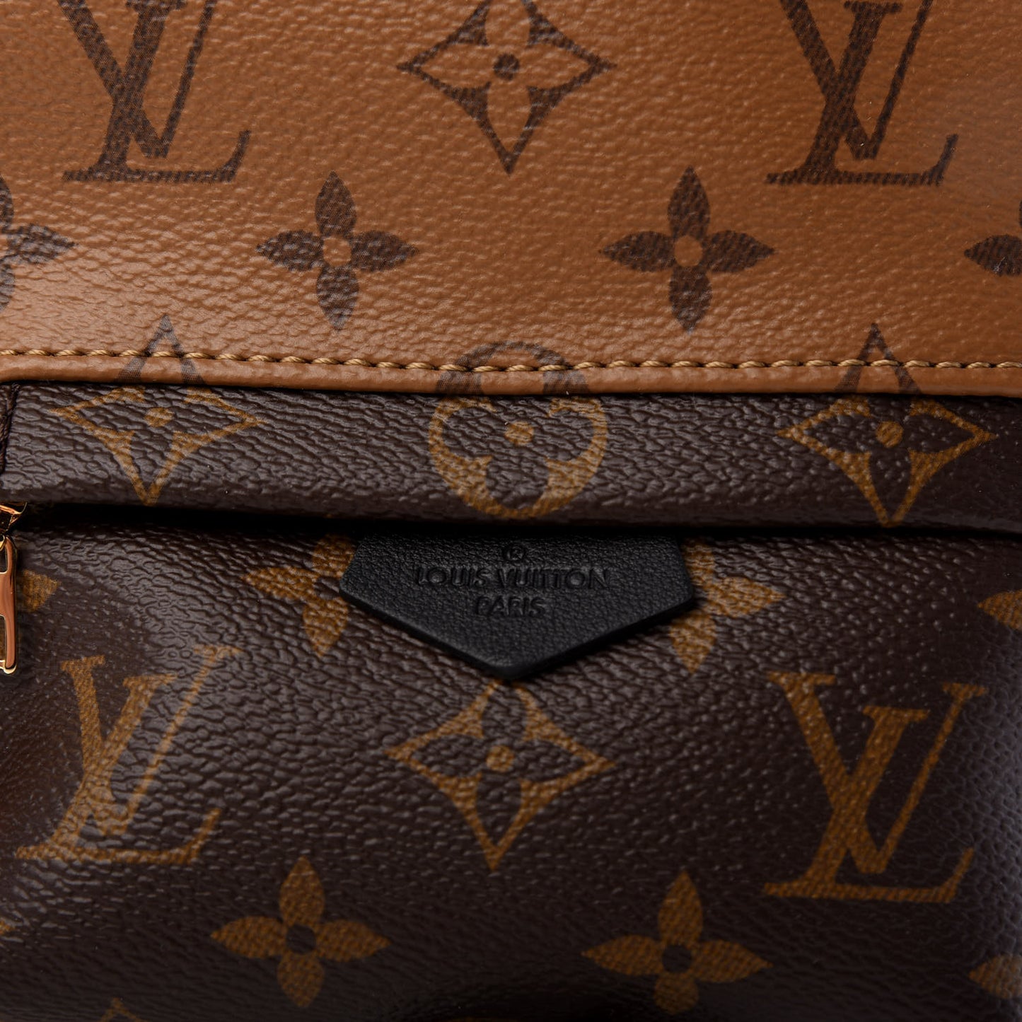 Reverse Monogram Palm Springs Backpack Mini