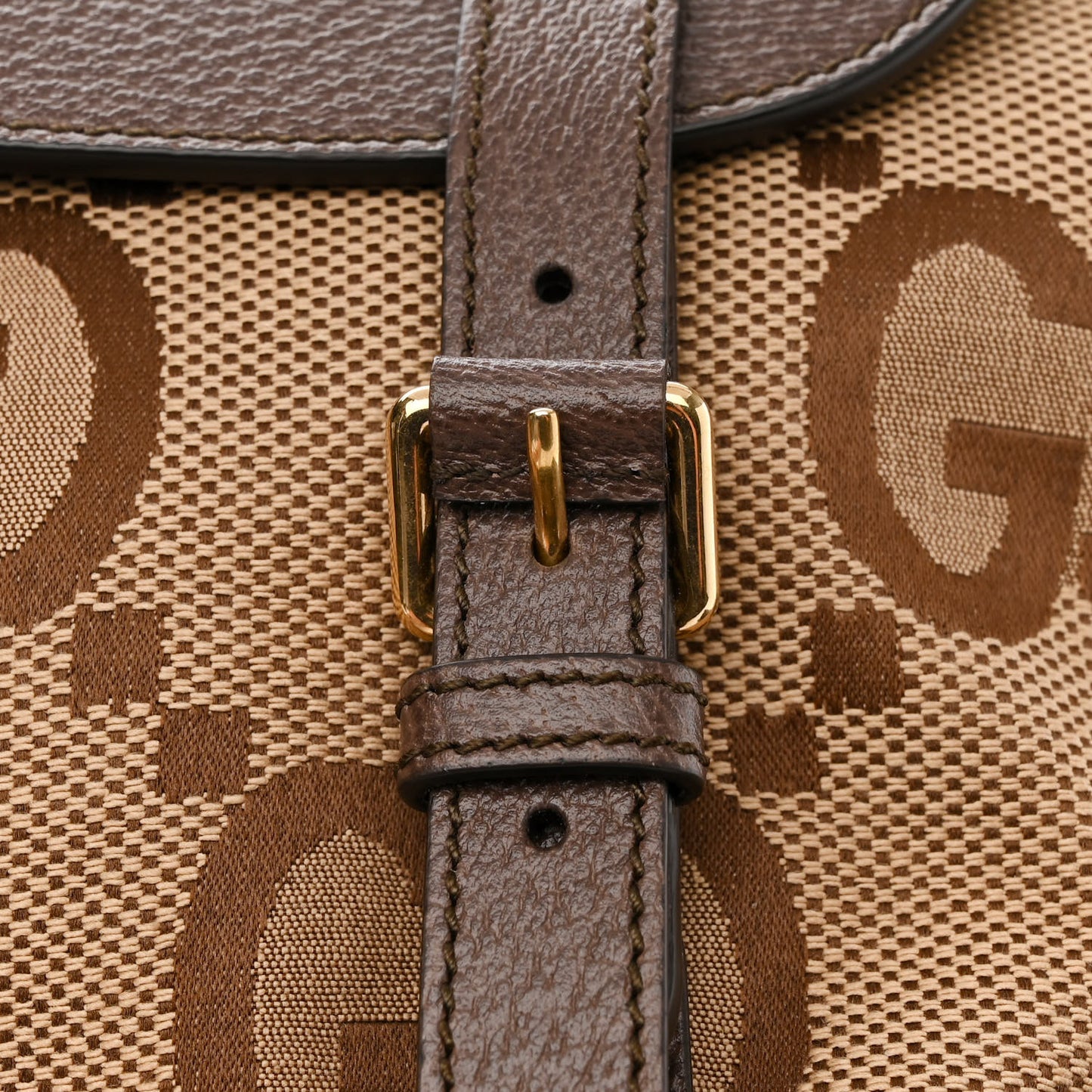 Monogram Jumbo GG Textured Dollar Calfskin Web Double Buckle Backpack Camel Ebony New Acero