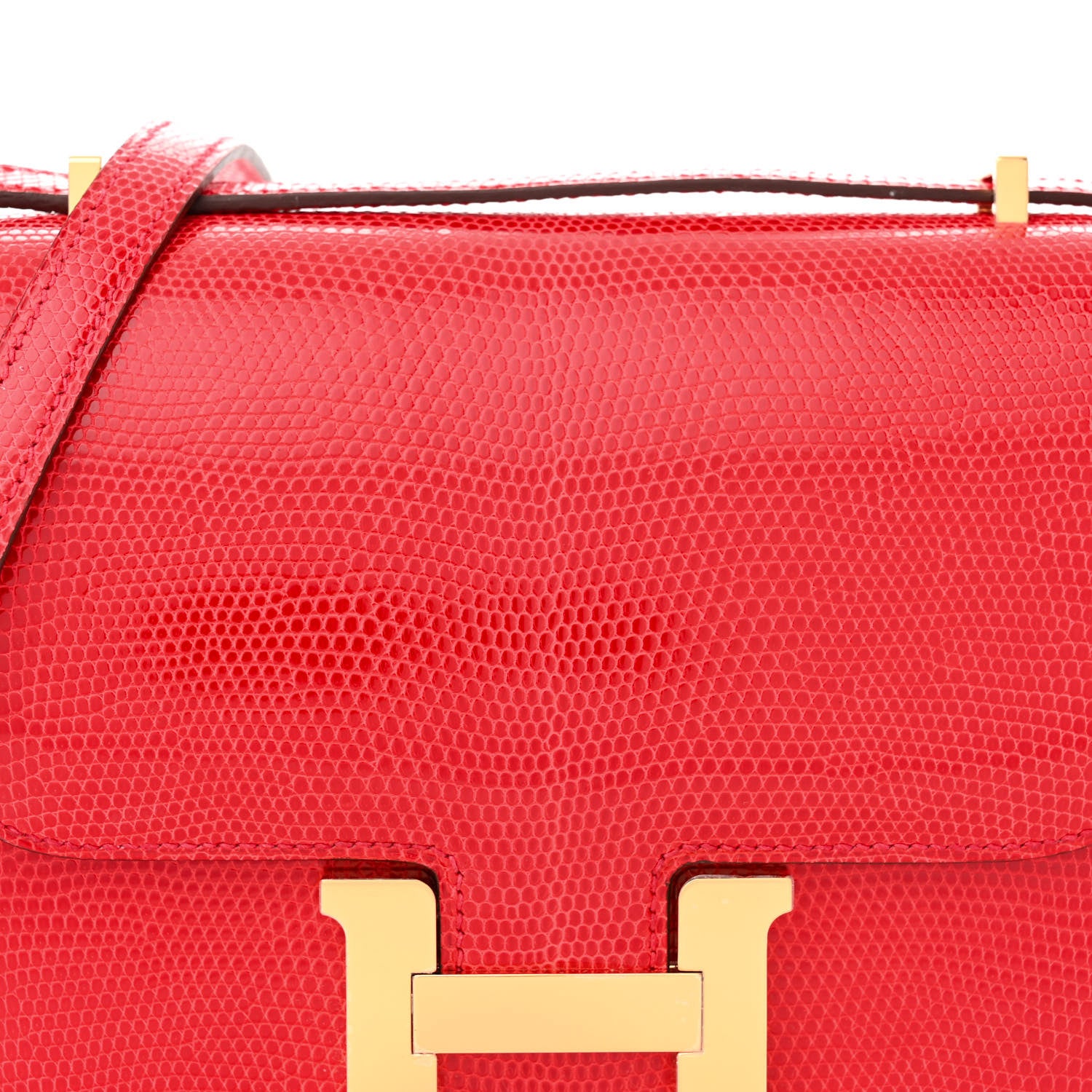Hermes Lizard Constance 18 Rouge Moyen 8 of 12