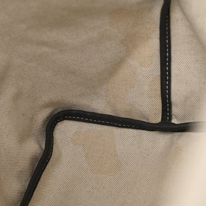 Goyard Goyardine Saint Louis PM Grey 10 of 18