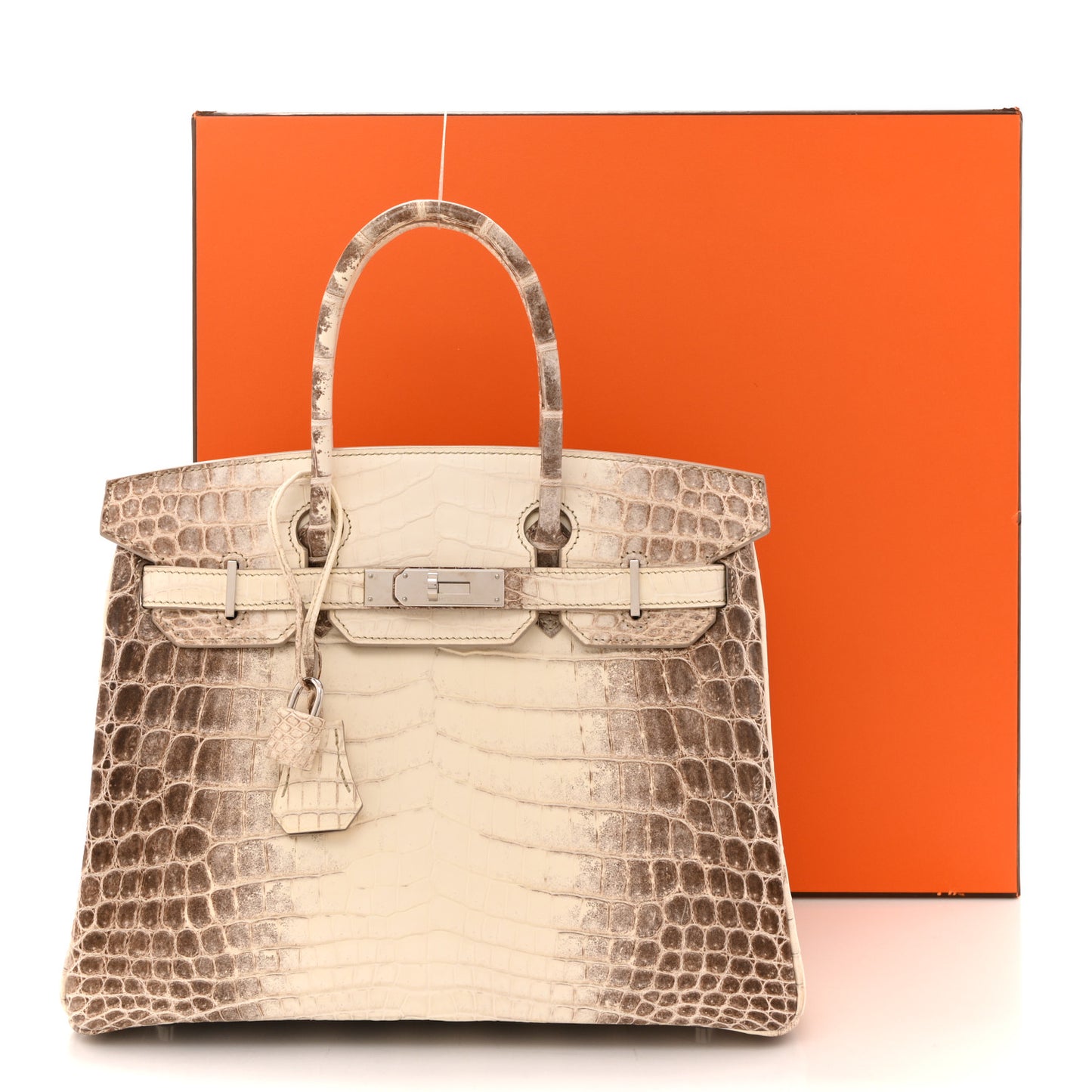 Matte Niloticus Crocodile Himalaya Birkin 30 Blanc