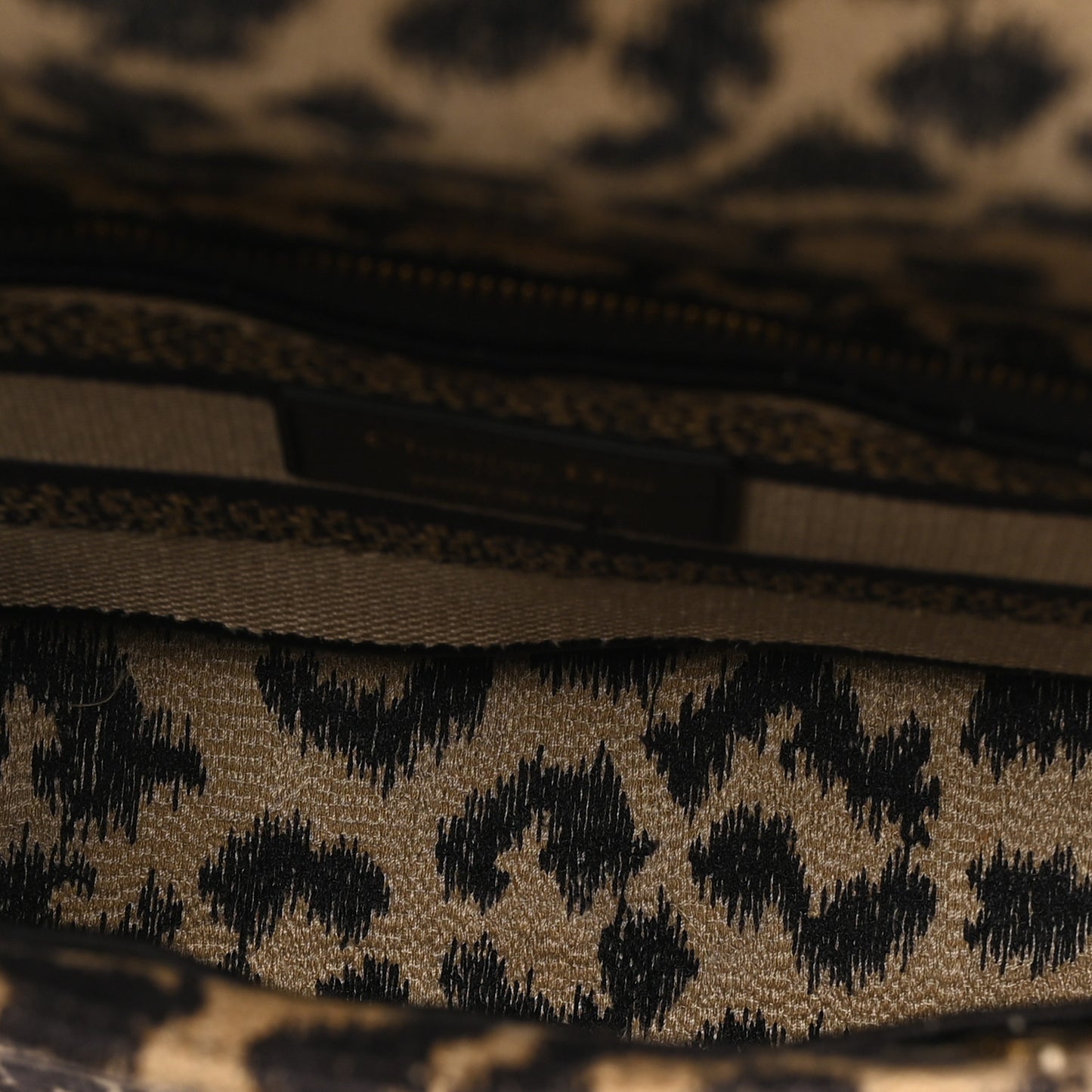 Canvas Medium Mizza Embroidered Lady D-Lite Beige Multicolor