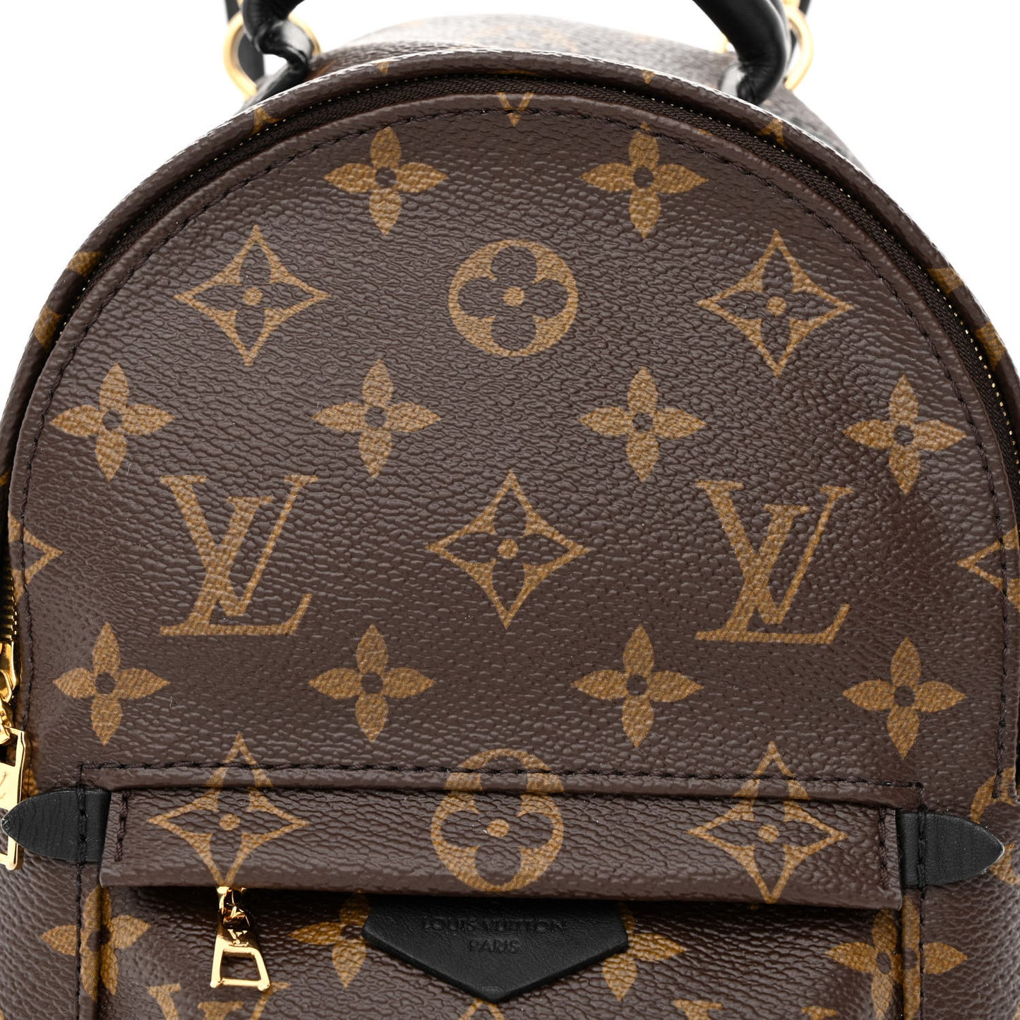 Monogram Palm Springs Backpack Mini