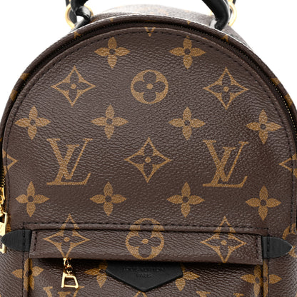 Louis Vuitton Monogram Palm Springs Backpack Mini 8 of 11