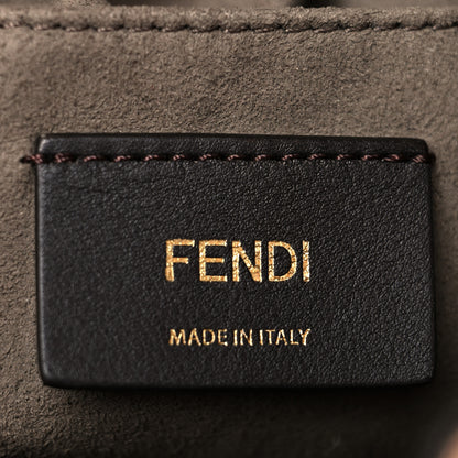 Fendi Vitello Grace Matte F is Fendi Grande Mon Tresor Bucket Bag Plaster 6 of 13