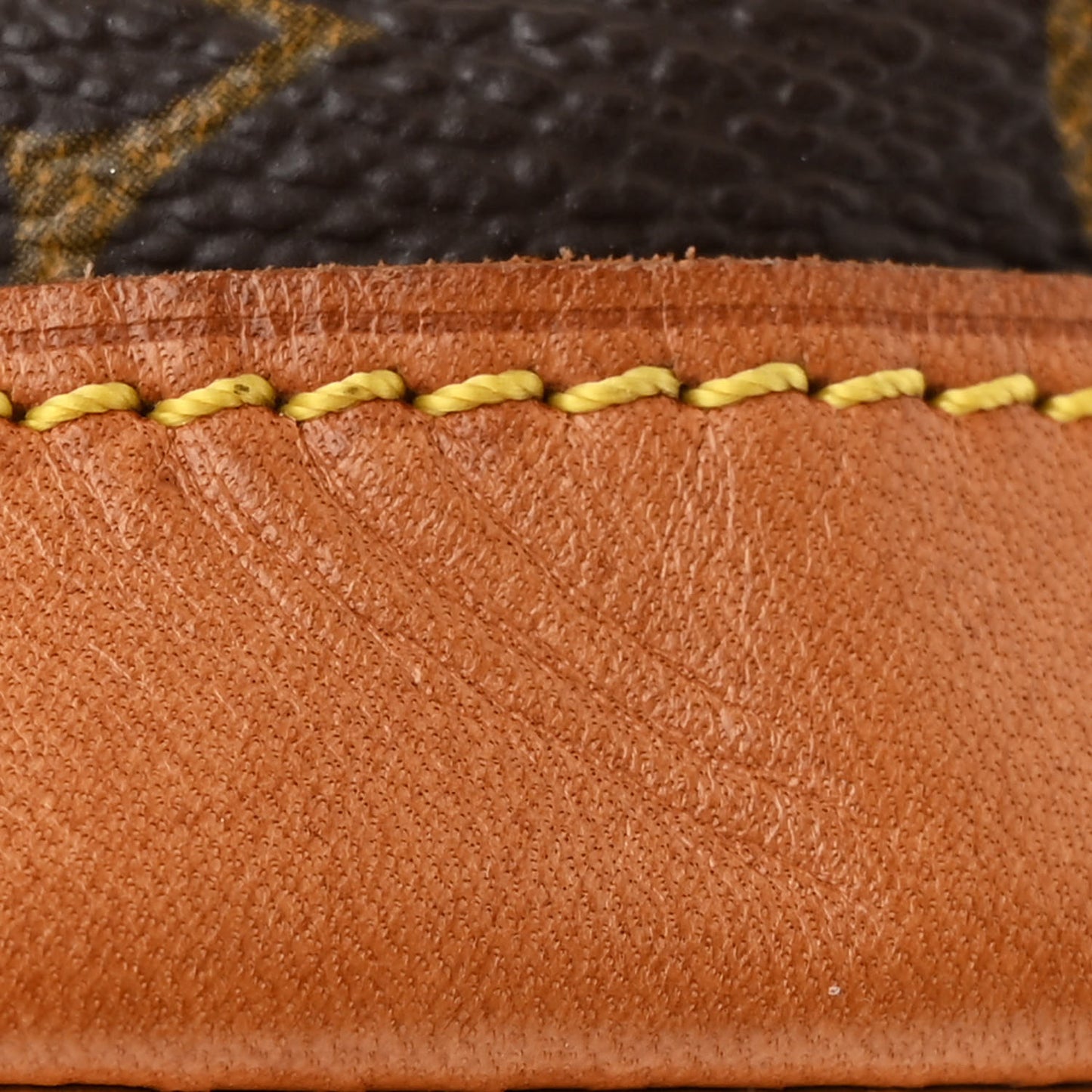Monogram Mini Montsouris Backpack