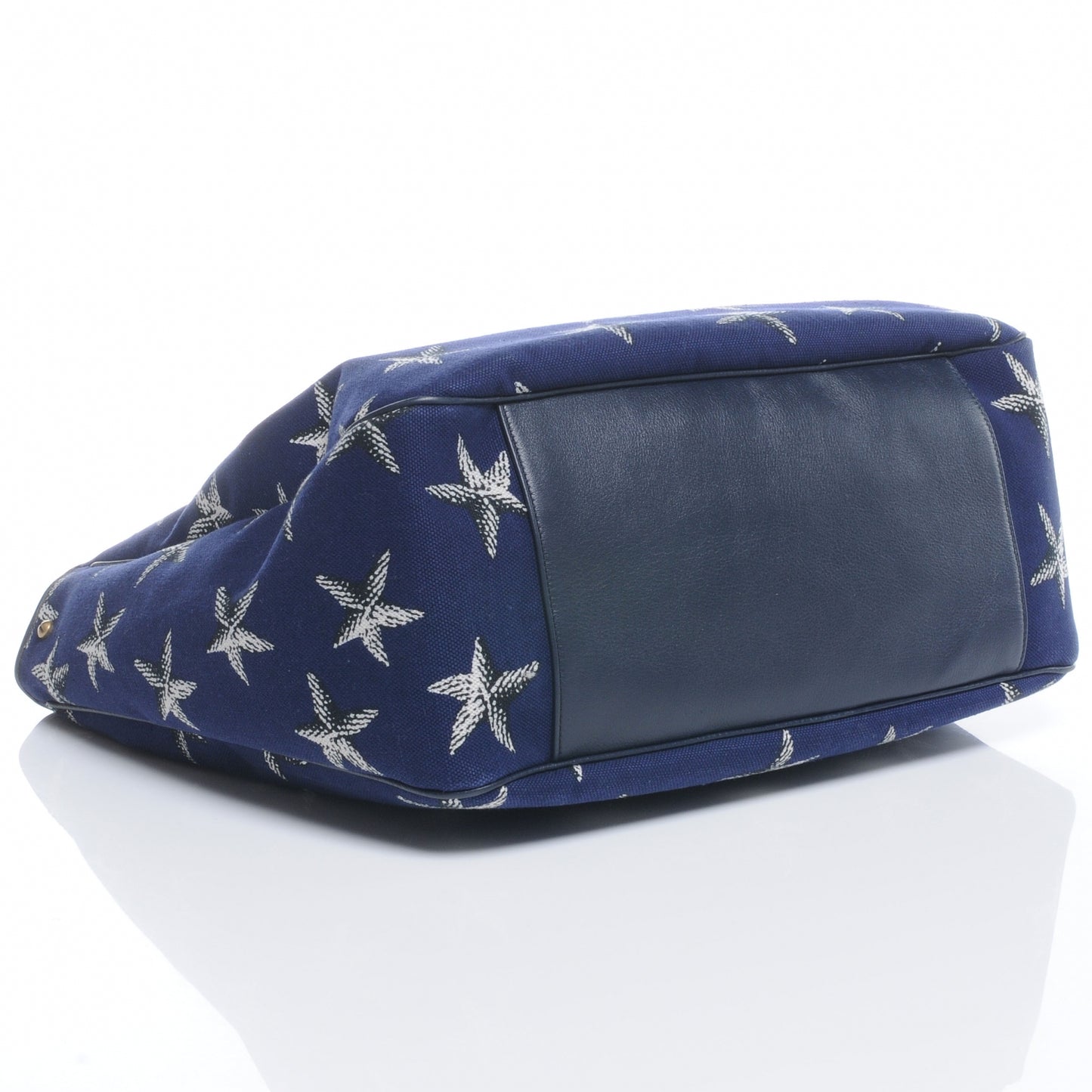 Canvas Large Starfish Roady Blue
