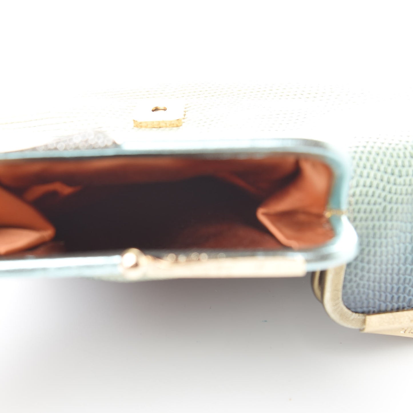 Lizard Ombre Origami Borderline Clutch Green