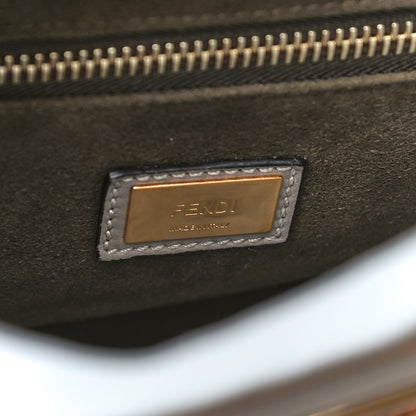 Fendi Vitello Seta Plexiglass Tortoise Medium Peekaboo Iconic Satchel Tortora 6 of 21
