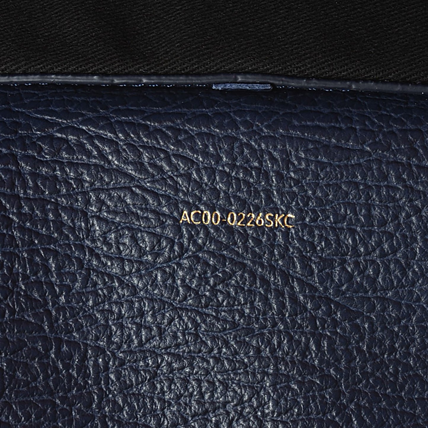 3.1 Textured Calfskin Mini Pashli Satchel Ink
