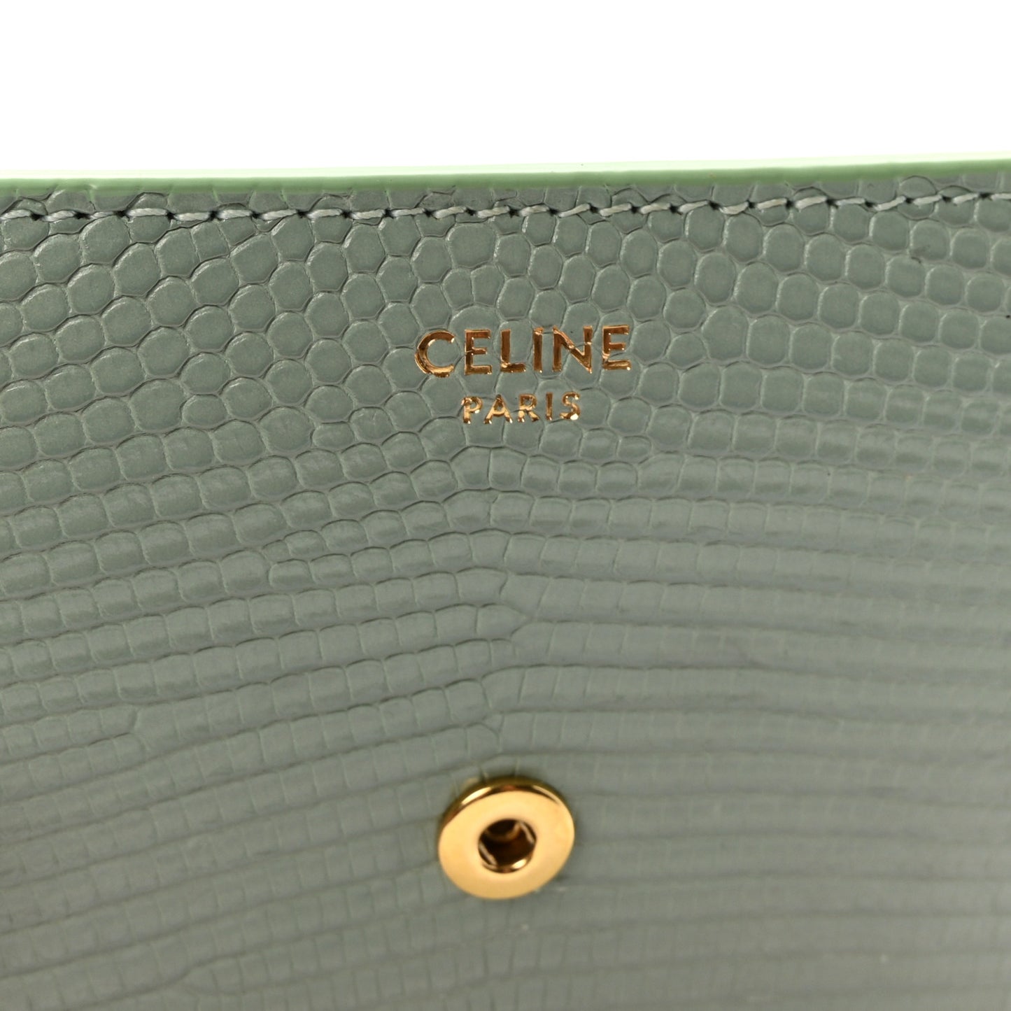 Lizard Small Triomphe Wallet Pastel Green