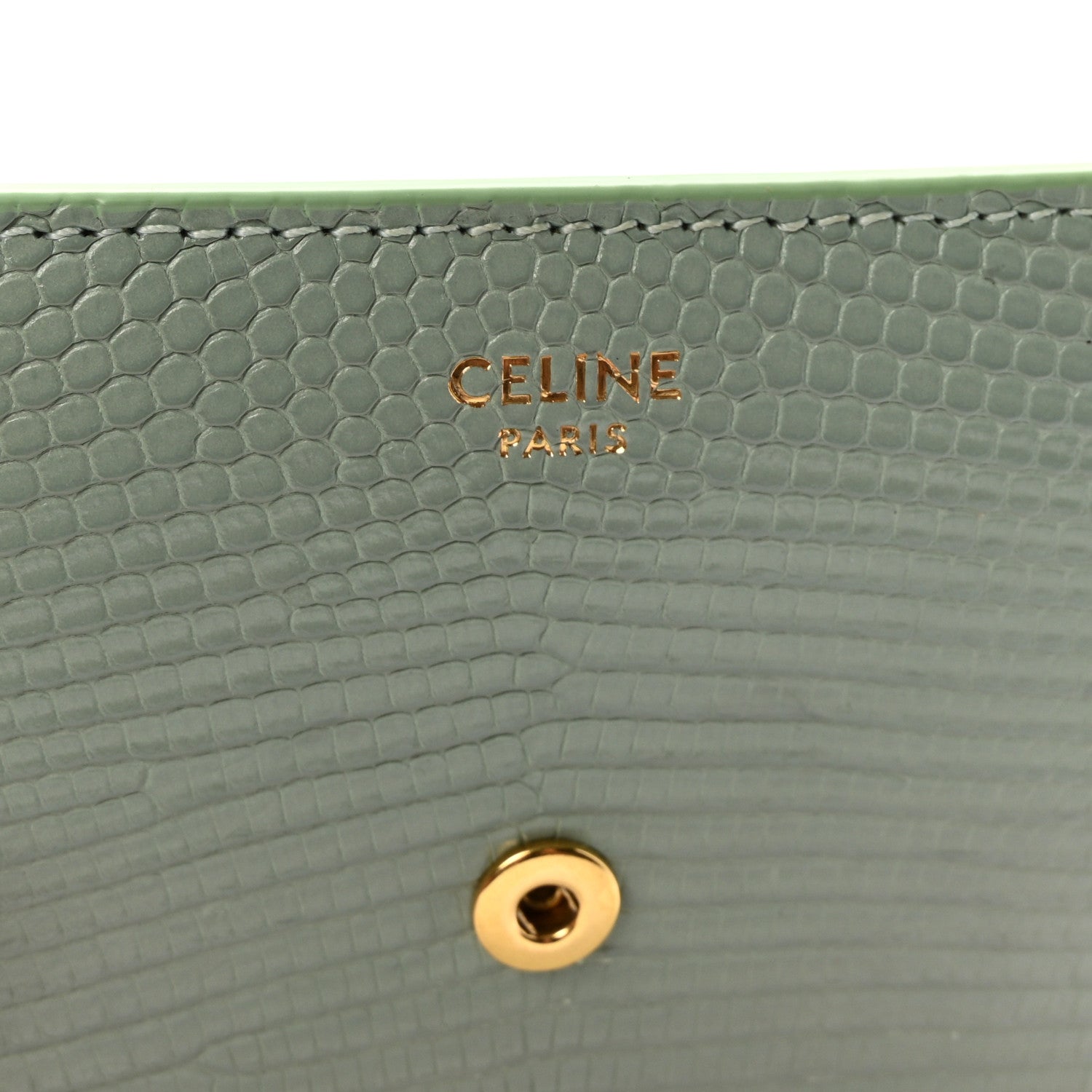Celine Lizard Small Triomphe Wallet Pastel Green 6 of 7